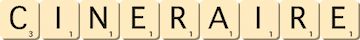 cineraire