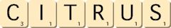 citrus citrus