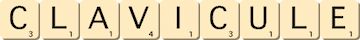 clavicule clavicule