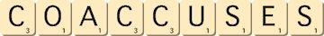 coaccuses coaccuses