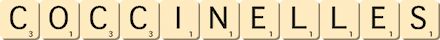 coccinelles coccinelles