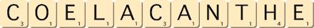 coelacanthe