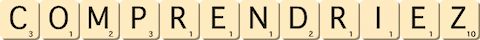 comprendriez comprendriez