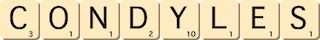 condyles