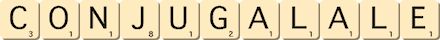 conjugal--ale