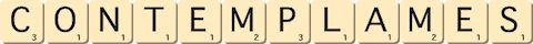 contemplames contemplames