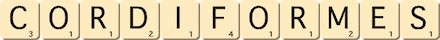 cordiformes cordiformes