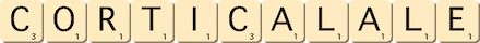 cortical--ale
