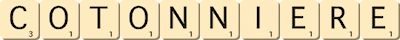 cotonniere cotonniere