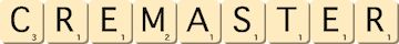 cremaster
