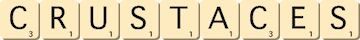 crustaces crustaces