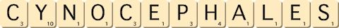 cynocephales cynocephales