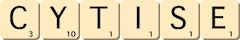 cytise