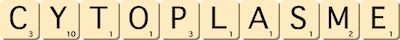 cytoplasme cytoplasme