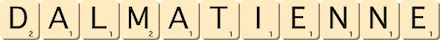 dalmatienne dalmatienne