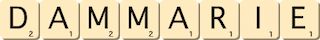 dammarie