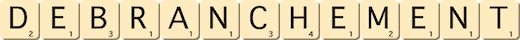 debranchement