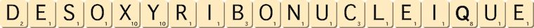 desoxyribonucleique