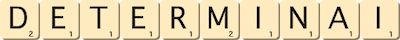 determinai determinai