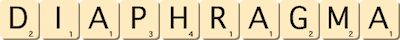 diaphragma diaphragma