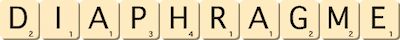 diaphragme