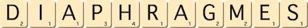 diaphragmes