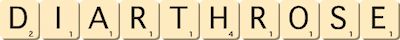 diarthrose