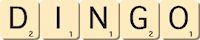 dingo dingo