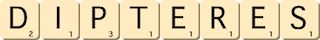 dipteres dipteres
