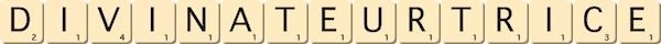 divinateur--trice