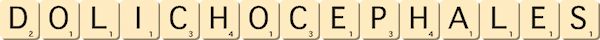 dolichocephales dolichocephales
