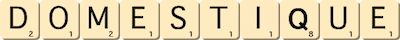 domestique domestique
