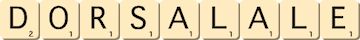 dorsal--ale