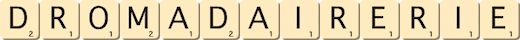 dromadairerie