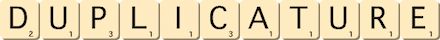 duplicature