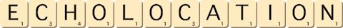 echolocation