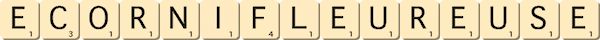 ecornifleur--euse