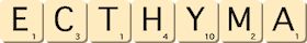 ecthyma ecthyma