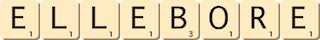 ellebore ellebore