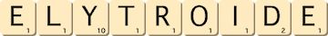 elytroide