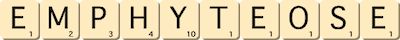 emphyteose