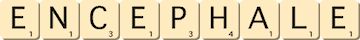 encephale encephale