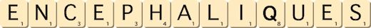 encephaliques