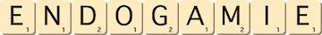endogamie endogamie