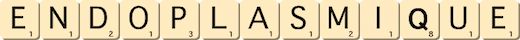 endoplasmique endoplasmique