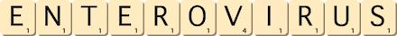 enterovirus enterovirus