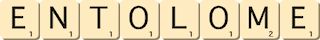 entolome