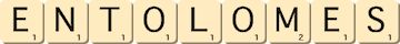 entolomes entolomes
