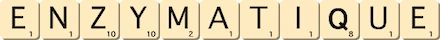 enzymatique enzymatique