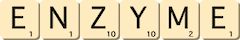 enzyme